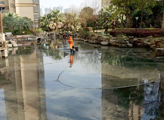 沧县景观池淤泥清理